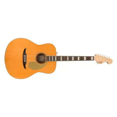 Fender Palomino Vintage AGN