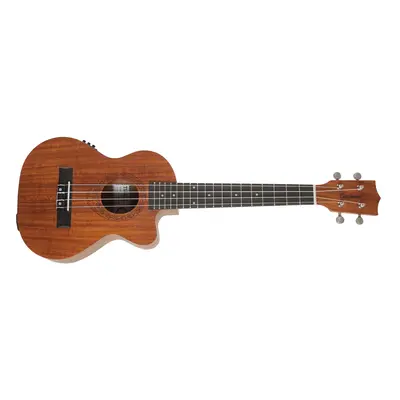 Tanglewood TWT 17 E (kicsomagolt)