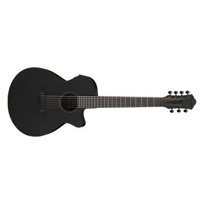 Ibanez AEG721 BOT