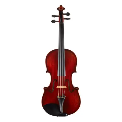 Eastman Amsterdam Atelier 1 Series 4/4 Violin