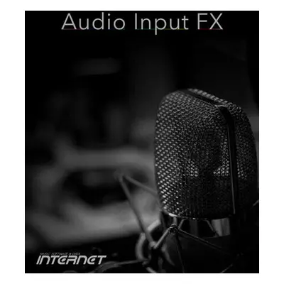 Internet Co. Audio Input FX (Digitális termék)