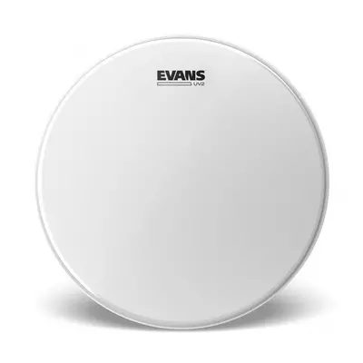 Evans B15UV2 UV2 Coated Coated 15" Dobbőr