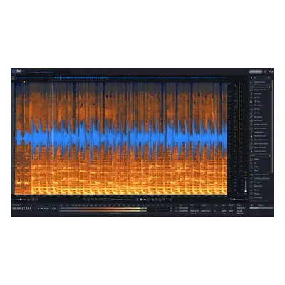 iZotope RX Standard EDU (Digitális termék)