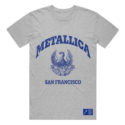 Metallica Ing College Crest Grey