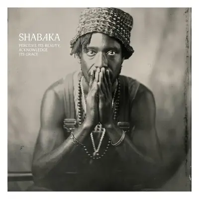 Shabaka - Perceive its Beauty, Acknowledge its Grace (LP)