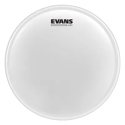 Evans B12UV1 UV1 Coated 12" Dobbőr