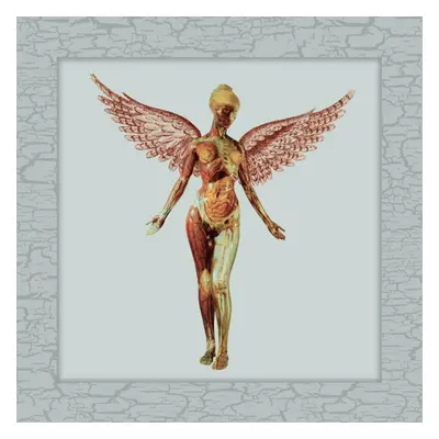 Nirvana - In Utero (Limited Edition) (Deluxe Edition) (4 LP)