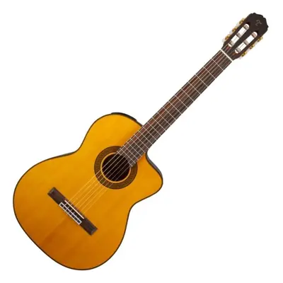 Takamine GC5CE Natural Elektro-klasszikus gitár