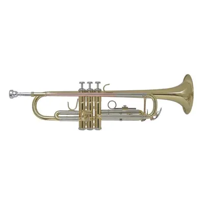 Bach TR655 Bb Bb trombita