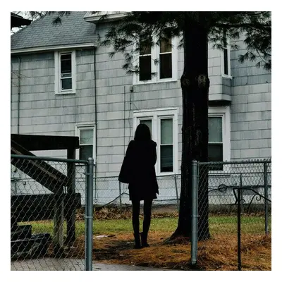 The Tallest Man On Earth - Dark Bird Is Home (LP)