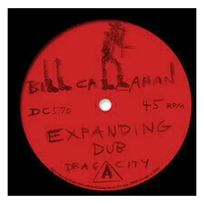 Bill Callahan - Expanding Dub B/W Highs In The Mid-40's Dub (LP)