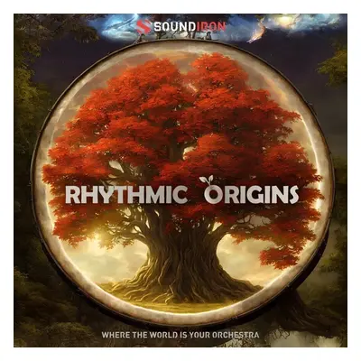 Soundiron Rhythmic Origins (Digitális termék)