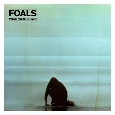 Foals - What Went Down (LP)