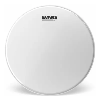 Evans B14UV1 UV1 Coated 14" Dobbőr