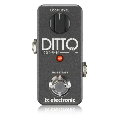 TC Electronic Ditto Looper Gitáreffekt