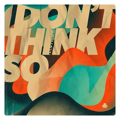 Nvmeri I Don't Think So (Vinyl LP)