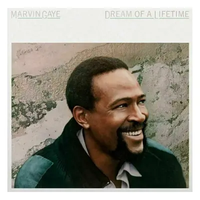 Marvin Gaye - Dream of a Lifetime (Trans Blue Vinyl) (180g) (LP)