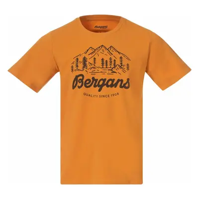 Bergans Classic V2 Tee Men Golden Field Póló