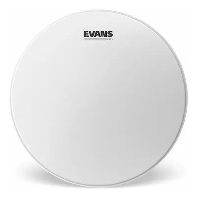 Evans B12G1 G1 Coated 12" Dobbőr