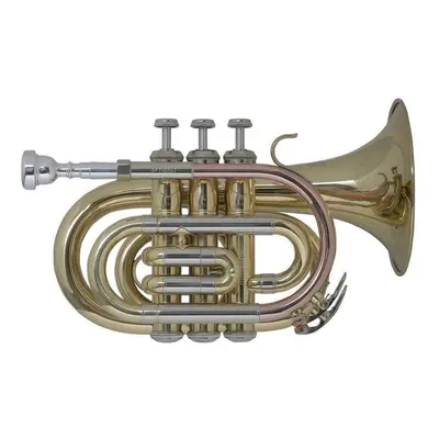 Bach PT650 Bb Bb trombita