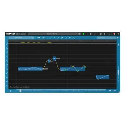 Synchro Arts RePitch Standard Crossgrade (Digitális termék)