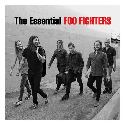 Foo Fighters - The Essential Foo Fighters (2 LP)