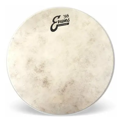 Evans TT16C7 Calftone 16" Dobbőr