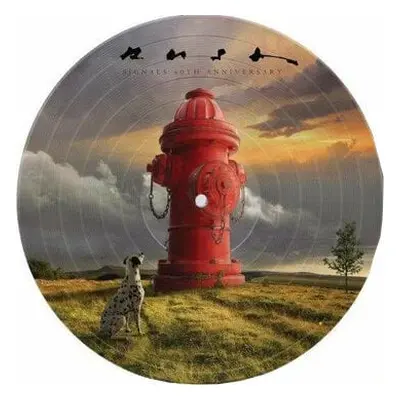 Rush - Signals (Picture Disc) (LP)