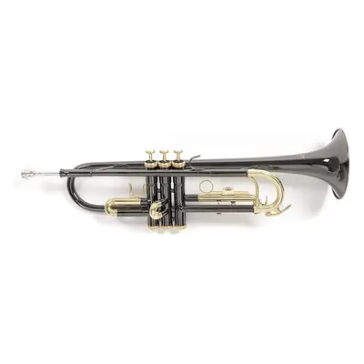 Roy Benson TR-101K Bb trombita