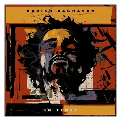 Harish Raghavan - In Tense (LP)