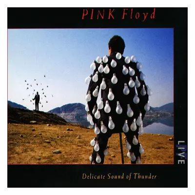 Pink Floyd - Delicate Sound Of Thunder (2 CD)