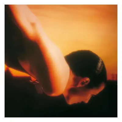 Porcupine Tree - On The Sunday Of Life (2 LP)