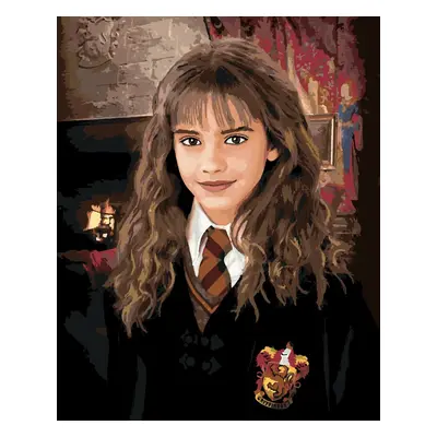 Zuty Festés számok szerint Hermione portréja (Harry Potter)