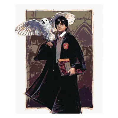 Zuty Festés számok szerint Harry Potter és Hedwig a Roxfort