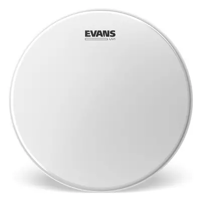 Evans B13UV1 UV1 Coated 13" Dobbőr