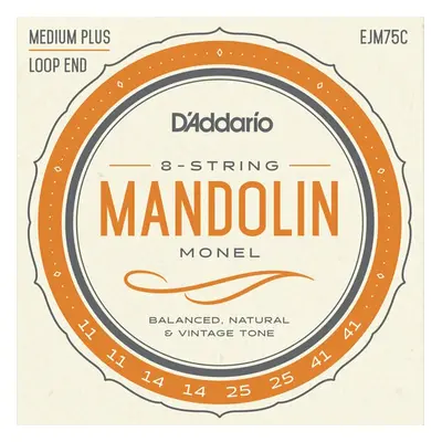 D'Addario EJM75C Mandolin húr