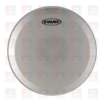 Evans EC1100E Tri-Center Ext Conga 11" Ütőhangszerek bőr