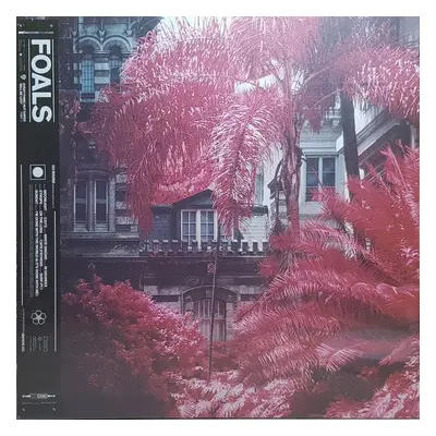 Foals - Everything Not Saved Will Be Lost Part (LP)