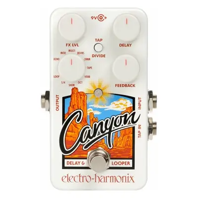 Electro Harmonix Canyon Gitáreffekt