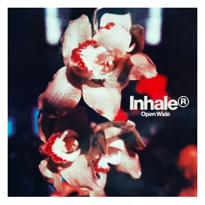 Inhaler - Open Wide (LP)