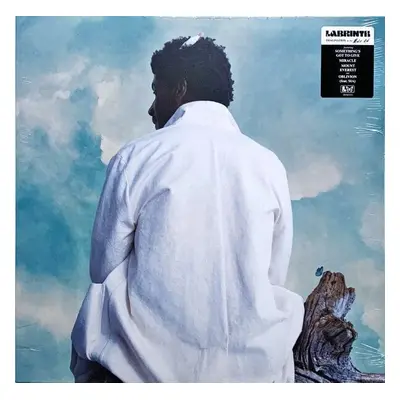 Labrinth - Misfit Kid (LP)