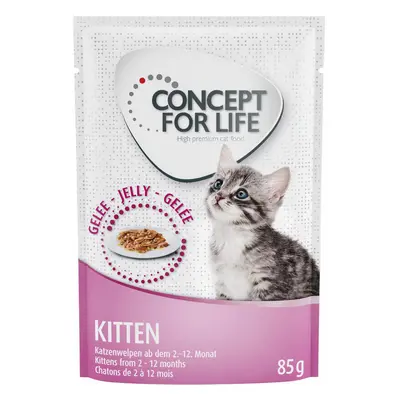 12x85g Concept for Life Kitten aszpikban- száraztáphoz kiegészítés