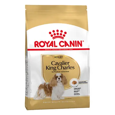 2x7,5kg Royal Canin Breed Cavalier King Charles Adult száraz kutyatáp