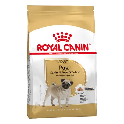 2x3kg Royal Canin Mops Adult fajta szerinti száraz kutyatáp