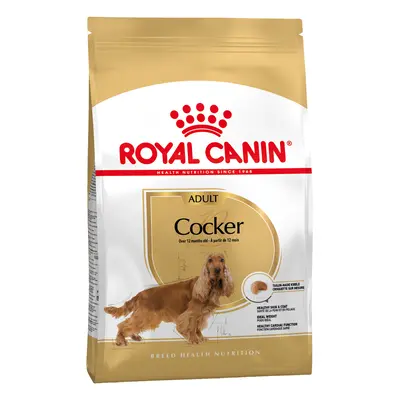 2x12kg Royal Canin Cocker Spaniel fajta syerinti száraz kutyatáp