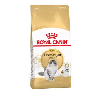 2x10kg Royal Canin norvég erdei macska száraz macskatáp