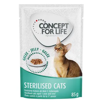 48x85g Concept for Life Sterilised Cats nedvestáp aszpikban ivartalanított macskáknak