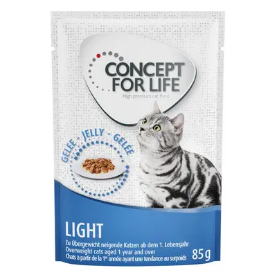 24x85g Concept for Life Light nedves macskatáp aszpikban