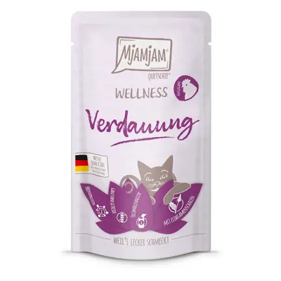 12x125g MjAMjAM Wellness Emésztés csirke nedves macskatáp