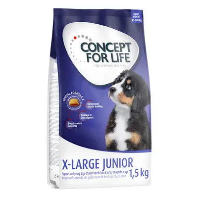 1,5kg Concept for Life X-Large Junior száraz kutyatáp 15% árengedménnyel